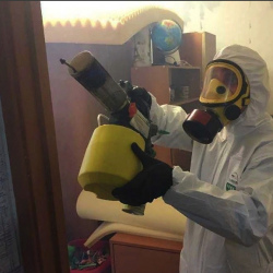 Уничтожение клопов в квартире. Марчуги